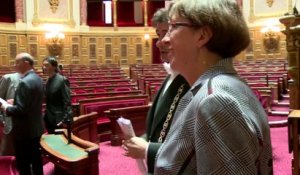 [Reportage] Premiers pas au Sénat de Marie-Pierre Monier