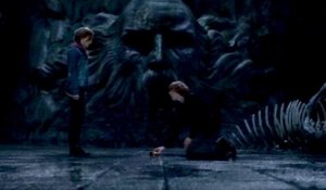 Harry Potter et les Reliques de la Mort : 2eme Partie VF - Ext 2