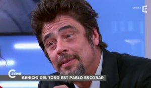 Benicio Del Toro, incroyable Pablo Escobar - C à vous - 20/10/2014