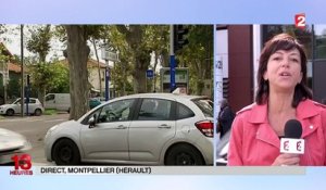 Santé : quatre cas de chikungunya à Montpellier