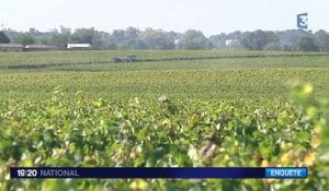 Comment la France lutte-elle contre la contrefaçon de ses vins ?