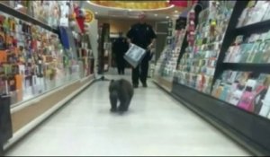 Un ourson perdu dans un supermarché de l'Oregon