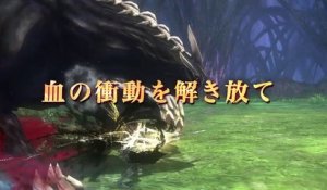 God Eater 2 : Rage Burst - Pub Japon