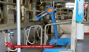 Méga-fermes : faut-il craindre l’élevage intensif ?