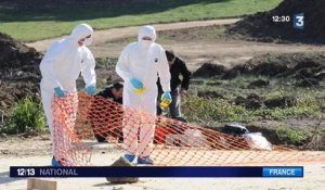 Mort de Rémi Fraisse : La piste d'une grenade offensive privilégiée