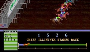 Arlington Horse Racing online multiplayer - arcade