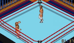 Fire Pro Wrestling 2 online multiplayer - gba
