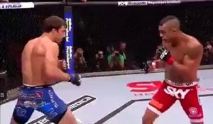 Head Kick KO compilation