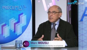Marc Mousli, Xerfi Canal Le consulting menacé ?