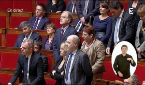 Cécile Duflot demande en vain une minute de silence à l'Assemblée en hommage à Rémi Fraisse
