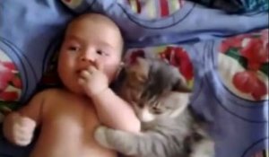 Des chats qui aiment les bébés