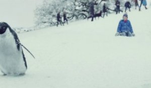 Ce Chaton Se Comporte Comme Un Vrai Bebe Vous Allez Craquer En Regardant Ceci Sur Orange Videos