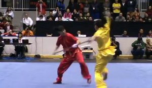 Impressionnante démonstration de l'art martial Wushu