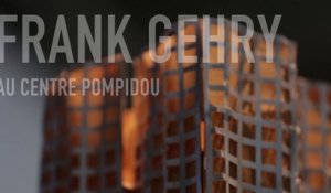 Frank Gehry | Exposition