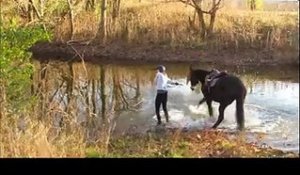 Ce cheval avait peur de l'eau