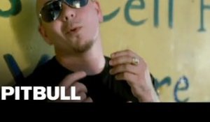 "Everybody Get Up (ft. Pretty Ricky)" - Pitbull