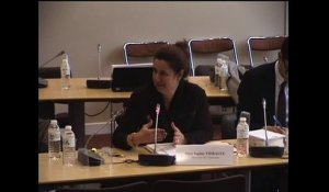 Audition de Mme Sophie Thibault, directrice de la modernisation et de l’action territoriale au ministère de l’Intérieur - Mercredi 19 Novembre 2014