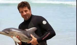 Australie : un bébé dauphin échoué, sauvé par un couple