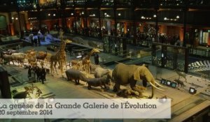 20 ans de la Grande Galerie de l'Évolution : la genèse de la Grande Galerie de l'Évolution (1/5)