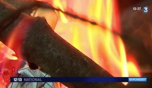 Ile-de-France : les feux de cheminée bientôt interdits