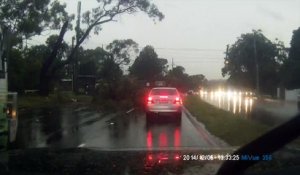 Un éclair tombe sur un arbre à Sidney