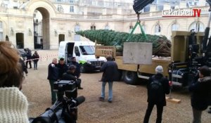 Le sapin de l'Elysée est arrivé