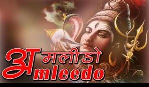 "AMLEEDO" New Version 2014 | Full Audio Song | Latest DJ MIX Song | Rajasthani Songs | Amlido