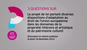 [Questions sur] UE et propriété littéraire, artistique et patrimoine culturel