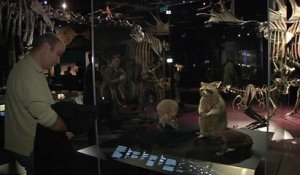 Lyon: le Musée des Confluences ouvre ses portes au public