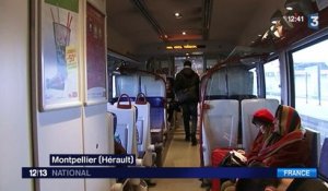 Languedoc-Roussillon: un train transformé en bibliothèque