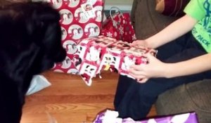 Ce chien adore déballer les cadeaux de noël!