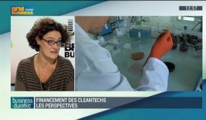 Spéciale "Financement des cleantechs": quelles perspectives pour 2015 ? (4/4) - 04/01