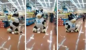 Une vache mascotte danse dans un magasin