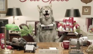 Old Spice - déodorant et gel douche, "Mr Wolfdog" - mars 2013