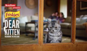 Une Publicité Friskies pour le Super Bowl 2015: Dear Kitten : Regarding the Big Game