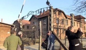 Libération d'Auschwitz : "Les Russes sont tombés par hasard sur une série de camps"