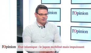 Etat islamique : le Japon mobilisé mais impuissant