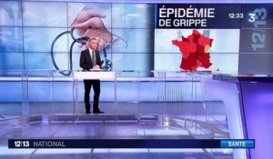 L'épidémie de grippe s'installe en France