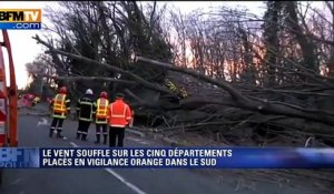 Vents violents en Ardèche: des arbres renversés sur la chaussée