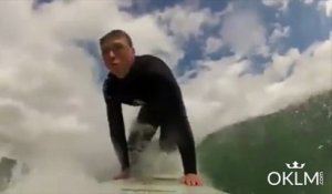 Un phoque veut faire du surf!