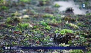 La Cour des comptes épingle les agences de l'eau