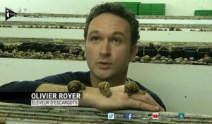 Salon de l’agriculture : les vertus cutanées des escargots