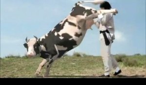 Kung-fu cow, la vache Kung-Fu