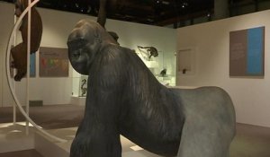 A Paris, sur la piste des grands singes au muséum d'Histoire naturelle