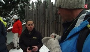 Un parc tente de réconcilier les hommes avec les loups