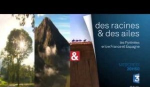 DRDA : Les Pyrénées, entre France et Espagne – Bande-annonce