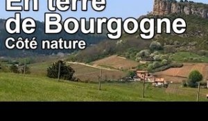 DRDA : En terre de Bourgogne - Côté Nature