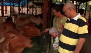 Cinq ans de prison pour la vente de bœuf dans un État indien