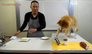 Un cuisinier japonais et son assistant pas très doué en cuisine : normal c'est un chien
