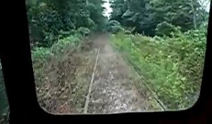 Des rails de chemin de fer disparaissent dans la forêt